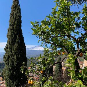 Meet your Posher, Carol